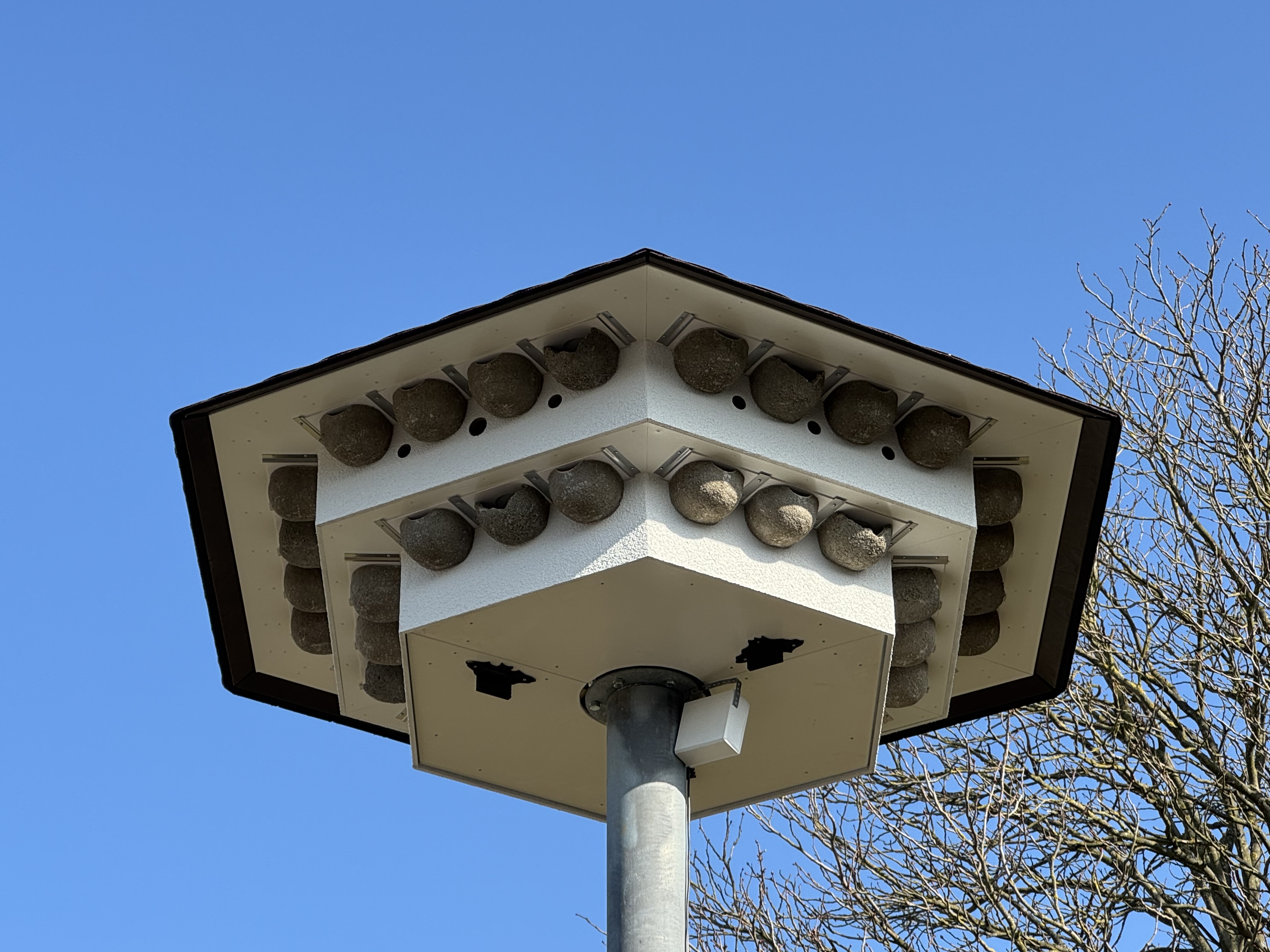 2026-03-04 Artenschutzhaus2.jpeg