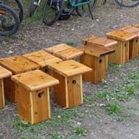 2026-09-23 Ferienspiele Kinder bauen Nistkästen für Vögel3.jpg