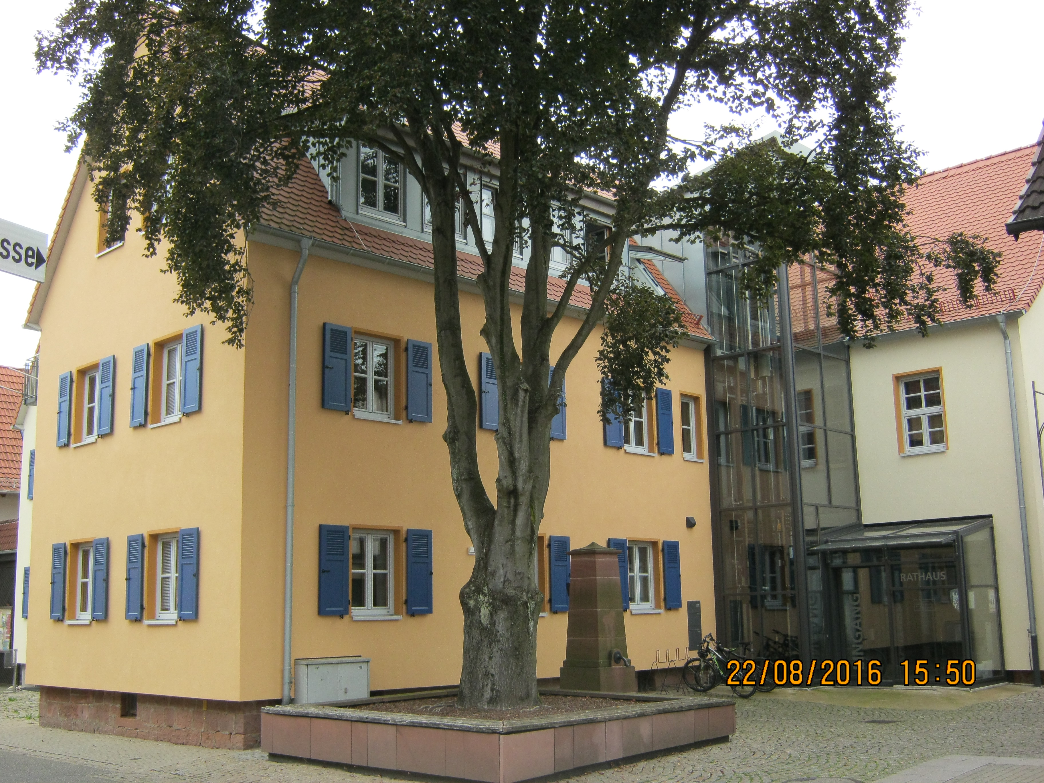 Rathaus.JPG