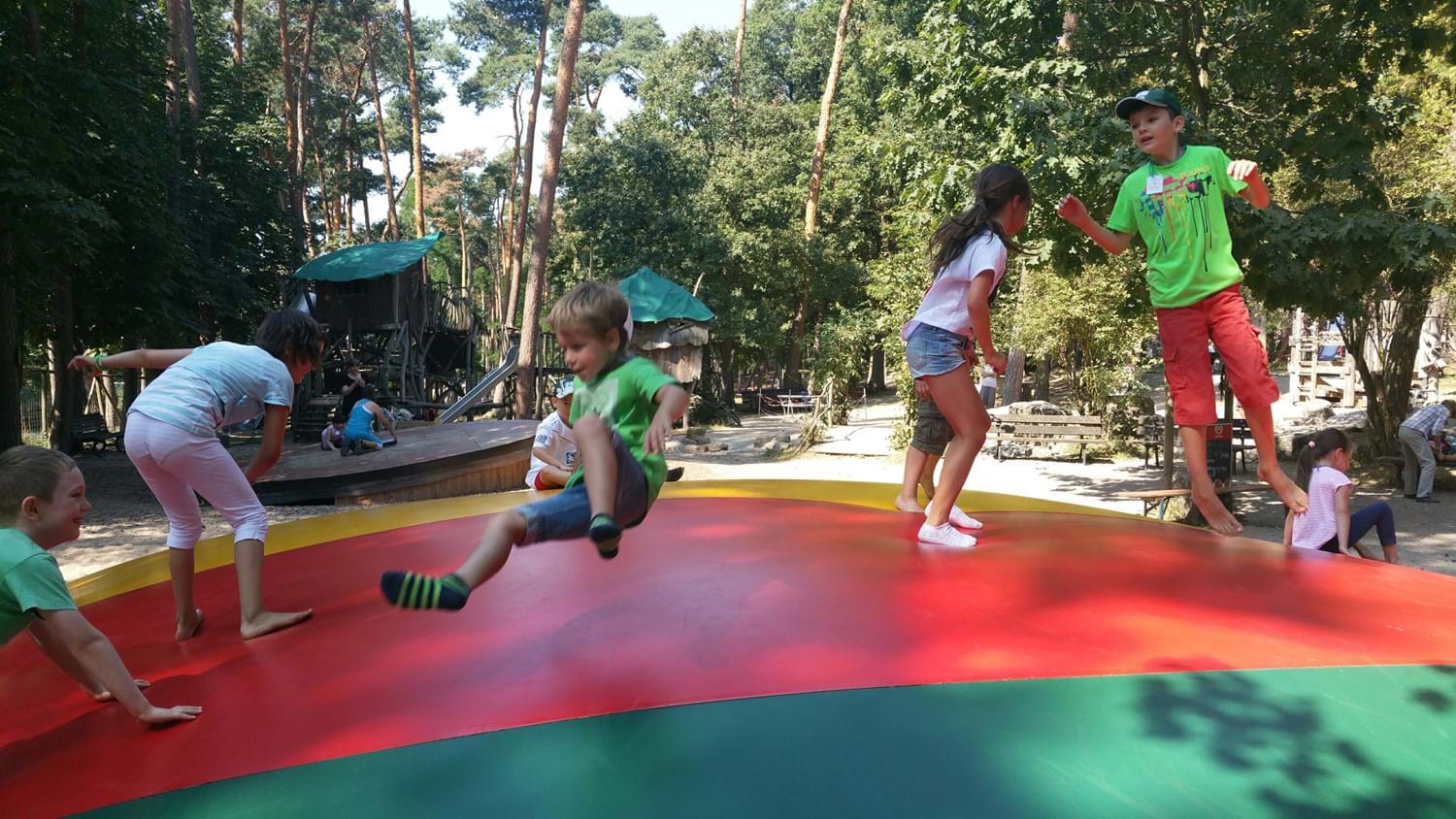 Ausflug In Den Tierpark Sommerhausen Mit Der Ferienbetreuung Niedernberg Ausflug In Den Tierpark Sommerhausen Mit Der Ferienbetreuung Niedernberg