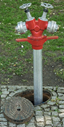 https://www.niedernberg.de/media/55175/2020-06-03-die-gemeinde-informiert-parken-ueber-hydranten.png?width=64&height=127&mode=max