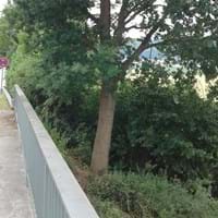 2025-02-05 Waldwegbrücke.jpg