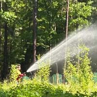 2025-05-21 Bewässerung Wald Anhaltende Trockenheit im Wald fordert Bewässerung 2.jpg
